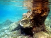 Karlobag 2012 Unterwasser 13