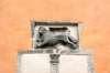 Venezianischer Löwe