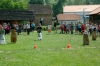 CIGOC  >  Fun-Schulsportfest