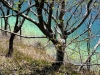 Plitvicer Seen im April