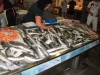 Istrien: PULA > Fischmarkt