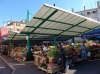 Istrien: ROVINJ > Obst und Gemüsemarkt