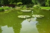 Landesinnere: ZAGREB > Botanischer Garten > Teich
