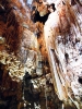 Istrien : POREC > Grotte Baredine