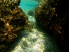 Dalmatien: ADRIA > Felsen unter Wasser