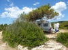 Dalmatien: INSEL MURTER>Camping Kosirina - Naturcamping